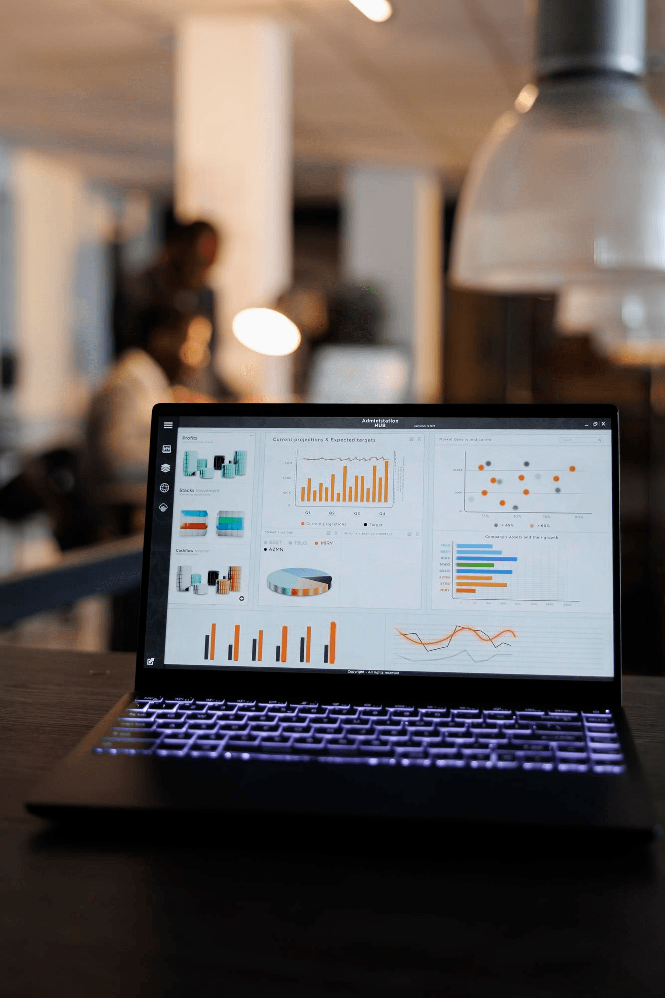 Application & Software Development